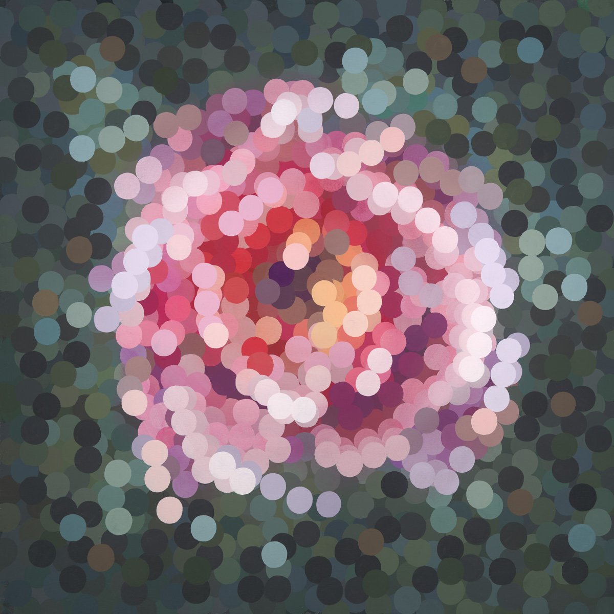 bloom - Is 35:1-2