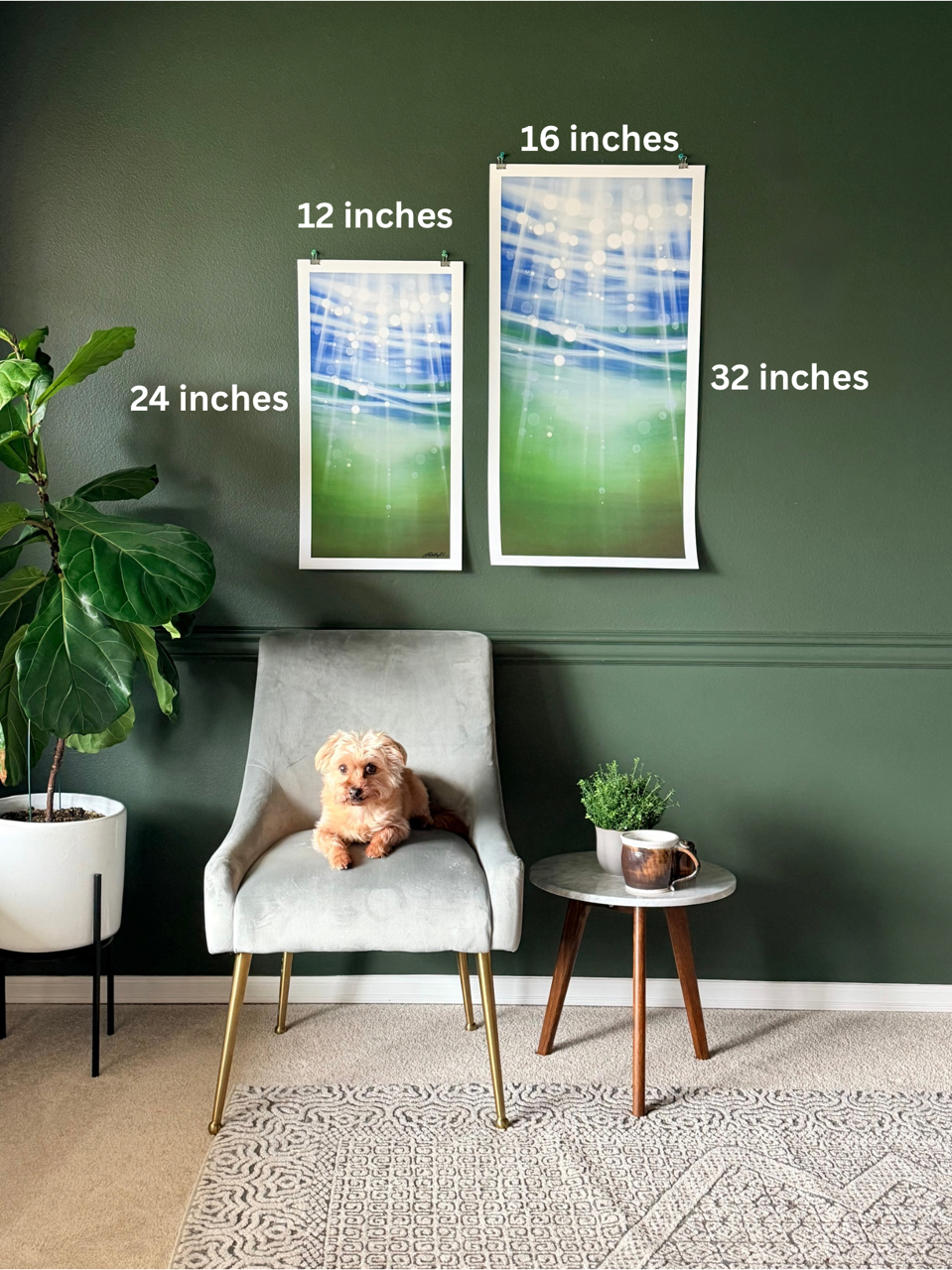 Toward the Light Above